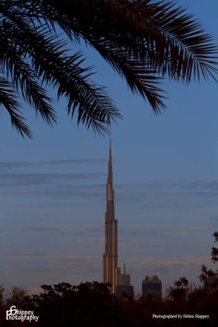 261538_10151472545056770_323425902_n