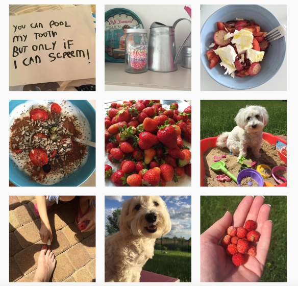 Screen Shot 2016-06-04 at 12.03.41.png